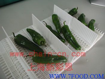 食品專用輸送帶_產品(價格、廠家)信息_中國食品科技網