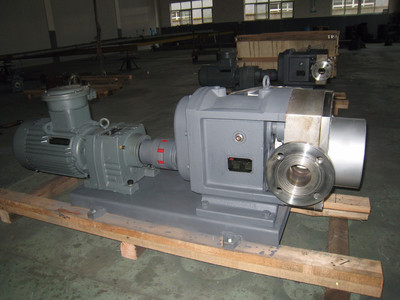 普利施65PLST6-10 日用化工轉子泵,甘油、化妝品料漿輸送泵 價格優惠歡迎咨詢圖片_高清圖_細節圖-江蘇普利施泵業 -